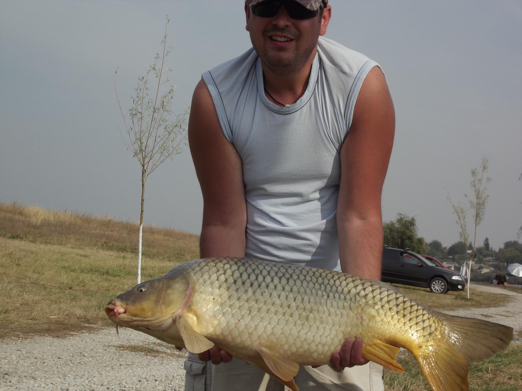 M.Vlasiei 2011 - 9-kg.JPG